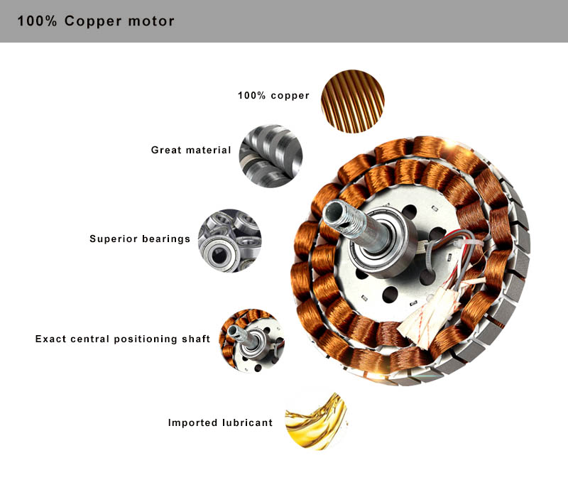 ceiling fan motor