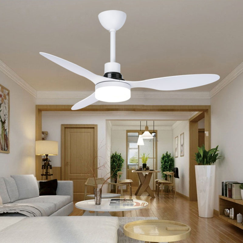 ceiling fan with light