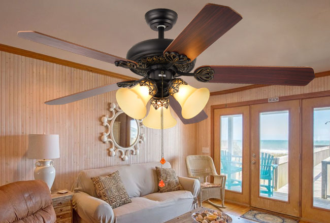 Light ceiling fan