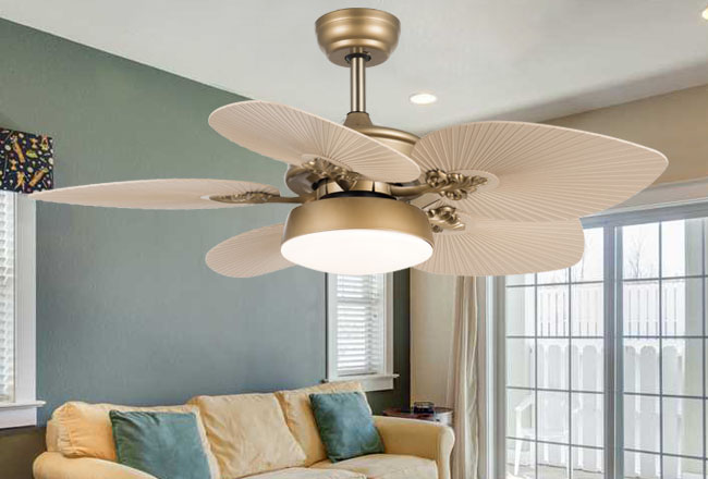 remote control ceiling fans